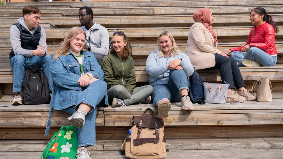 En grupp studenter sitter i en trätrappa och pratar.