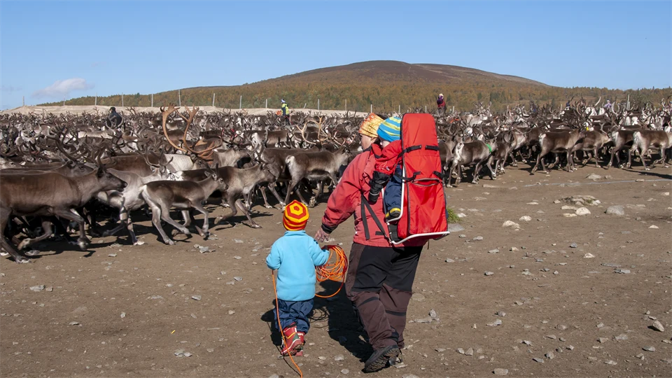 En kvinna går i ett rengärde med ett barn vid handen och ett i en bärsele på ryggen. 