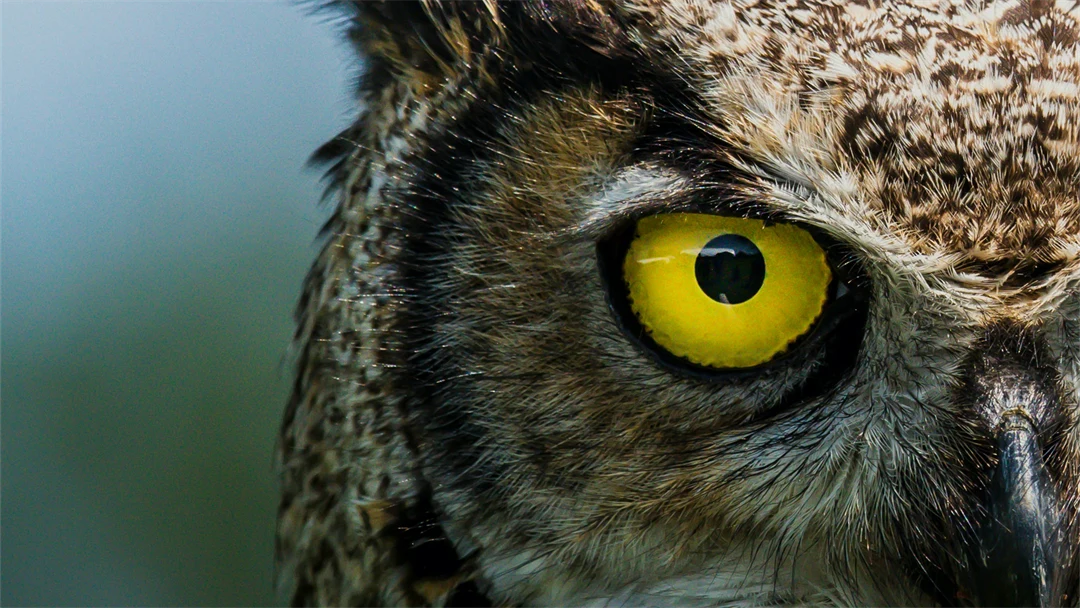 jeremy-hynes-2VsPnDt2SQs-unsplash