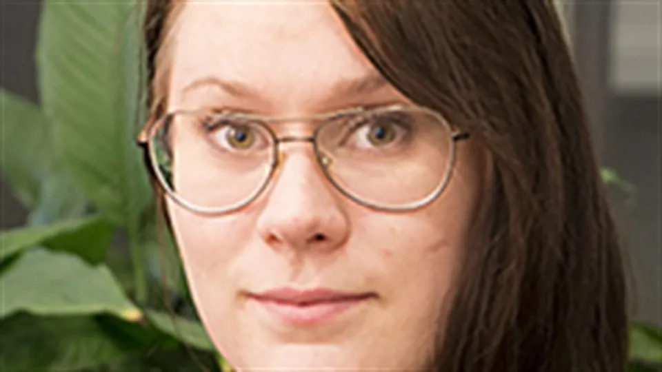 Alumn, Risk- och krishanteringsprogrammet