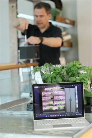 Kameror installeras för att övervaka kryddorna