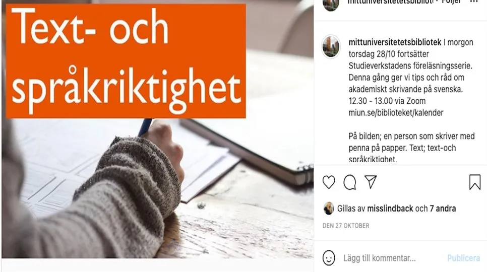 Exempel på syntolkat inlägg