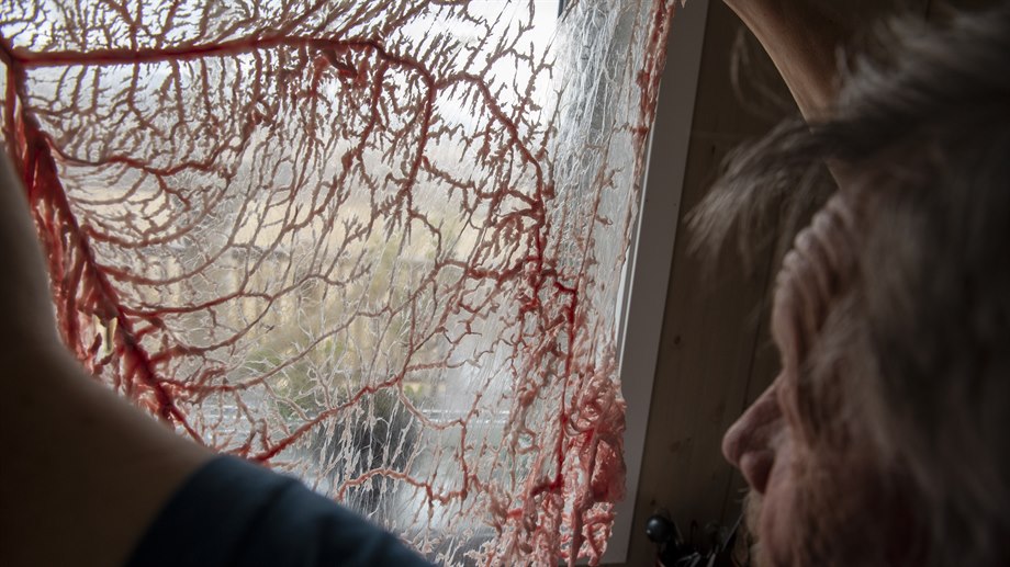 Liepsie är fetthinnan från renen mage.