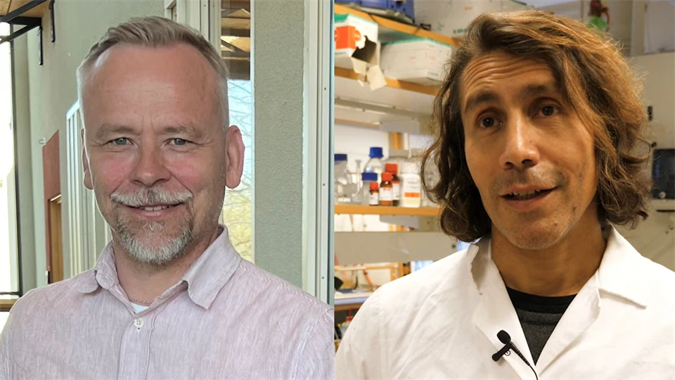 Två porträttbilder på två män bredvid varandra. En man har ljust hår och skägg. Den andra mannen har mörkt axellångt hår.