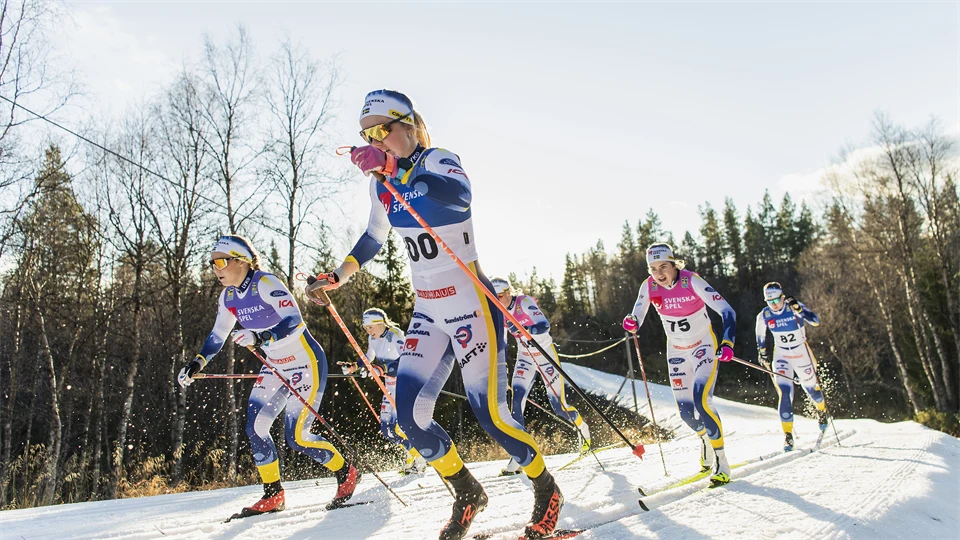 Kvinnliga längdskidåkare tävlar.