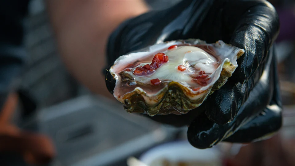 En hand som håller ett öppnat ostron.