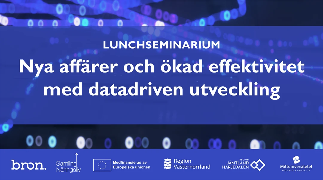 Lunchseminarium Nya affärer och ökad effektivitet med datadriven utveckling