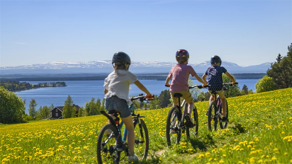 Tre flickor cyklar på en sommaräng med vy över Storsjön och fjällen.