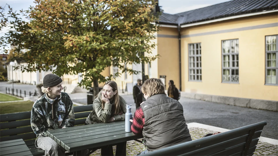 Studenter i campusmiljö.