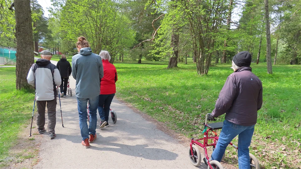 En grupp äldre personer går tillsammans med en yngre person på promenad i en grönskande park, några med rullator och någon med stavar.