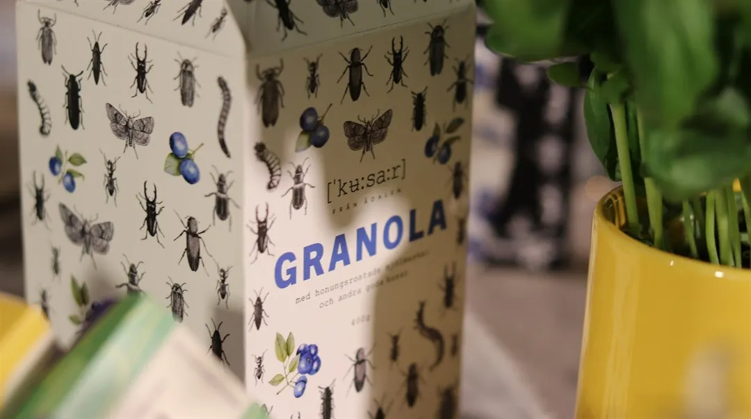 En kartong med granola med myror och insekter på