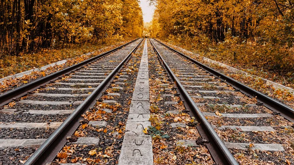 Close-up of Railway, rails and sleepers extending into the distance, landscape of the park, autumn leaf fall.