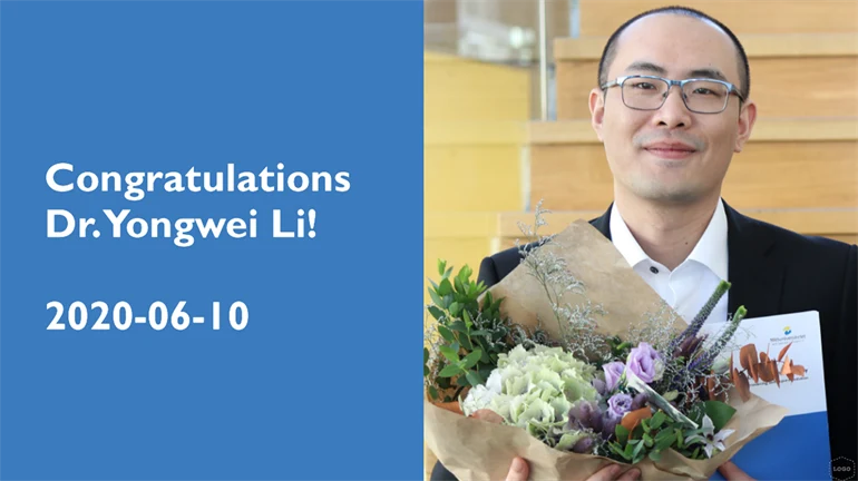 Yongwei Li, dissertation