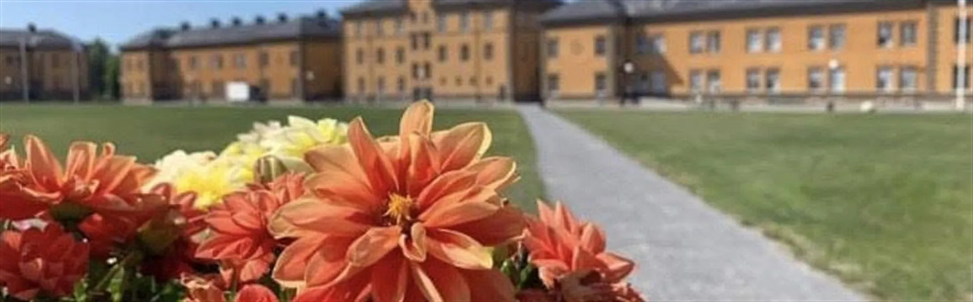 campus sommar