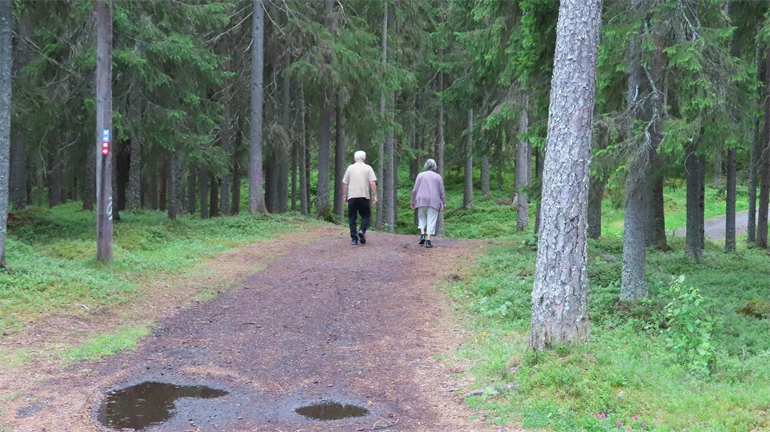 Två personer promenerar på en bred skogsstig, man ser deras ryggtavlor 