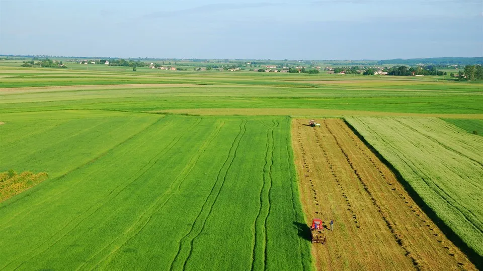 Flygfoto odling jordbruk landskap