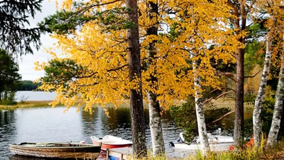 Båtar i Alsensjön