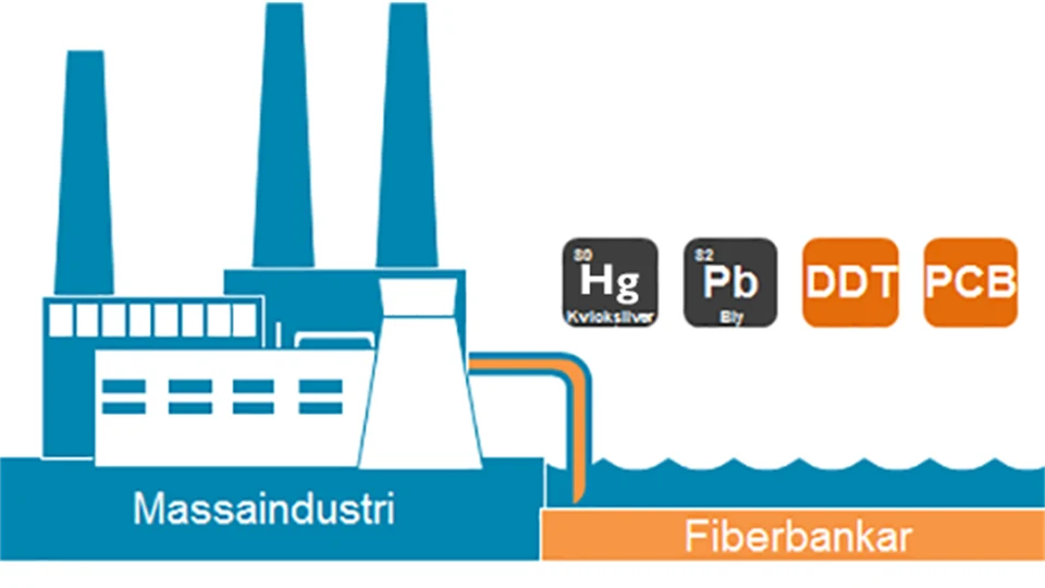 Bioremfiber Hg