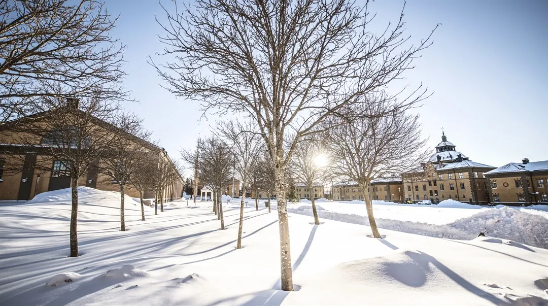 Campus Östersund, exteriör 