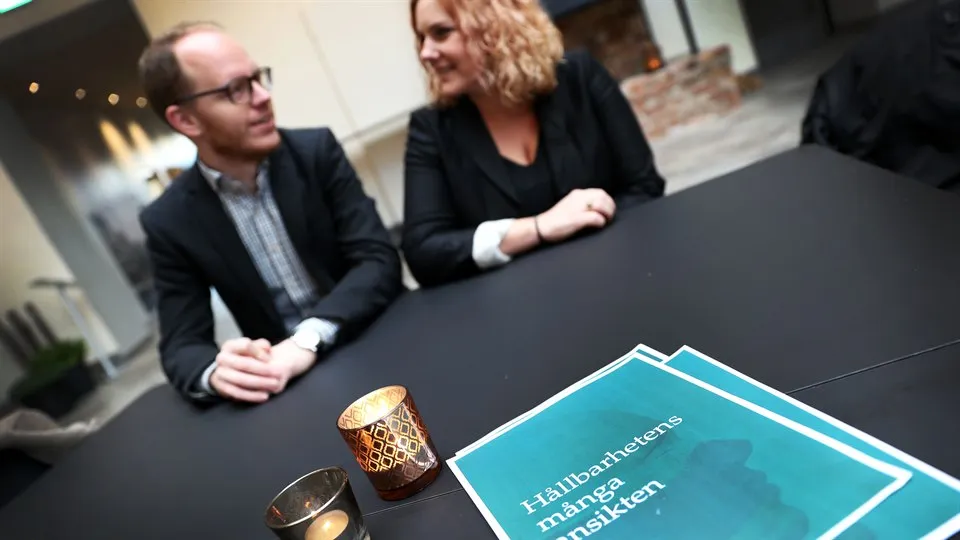 Hållbarhetens många ansikten