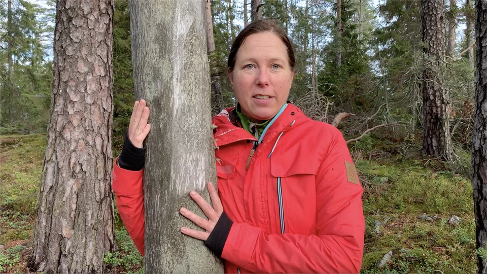 Jennie Sandström i skogen