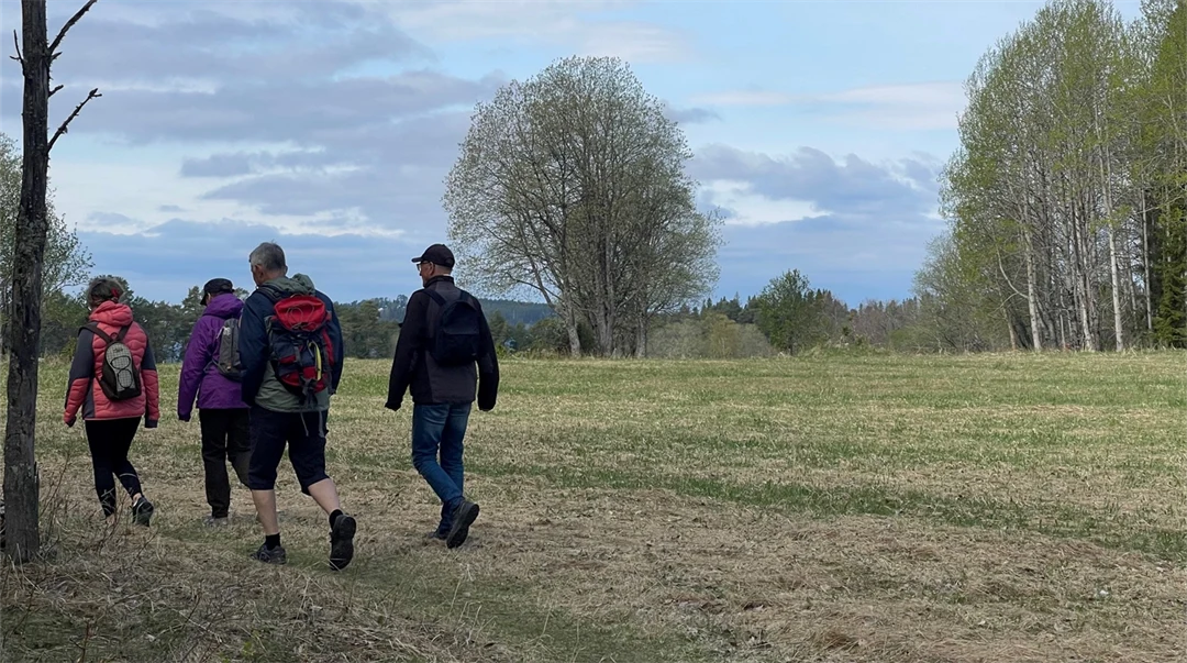Fyra personer på vandring med ryggsäckar på sig i naturlandskap.