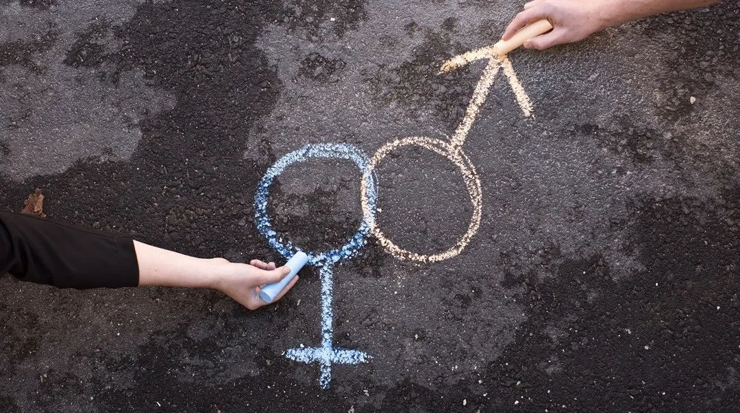 Genusvetenskap, genrebild