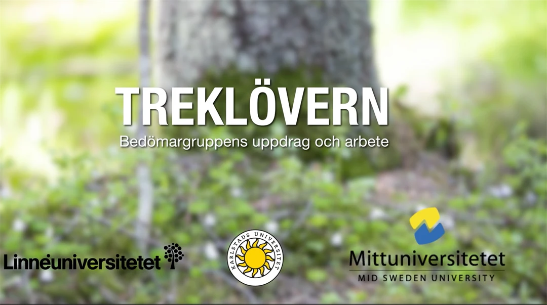 Ett suddigt foto av ett träd baland gräset med texten "Treklövern "Begömargruppens uppdrag och arbete" med logotyperna Linneuniversitetet, Karlstads universitet och Mittuniversitetet
