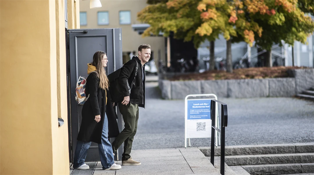 Studenter i campusmiljö.