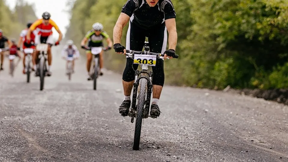 grupp med cyklister i naturen