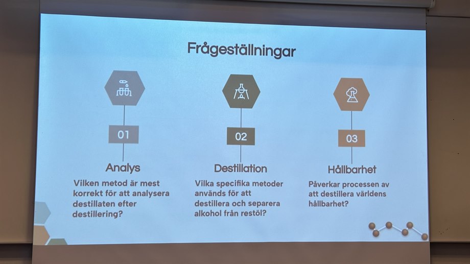 Elsa och Alicas frågeställningar inför gymnasiearbete