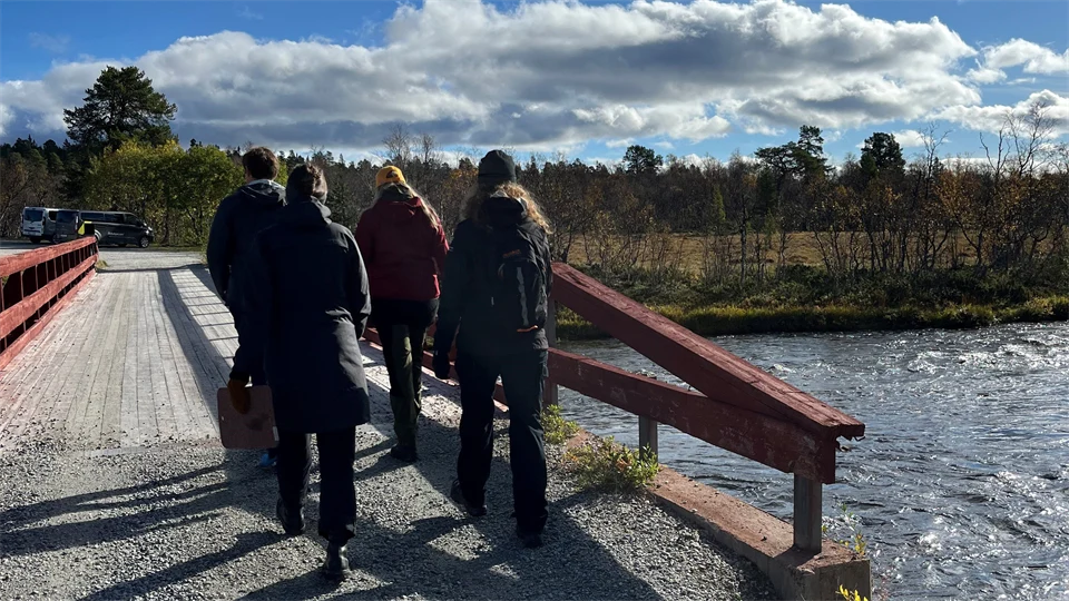 Fyra personer går över en bro och under bron rinner vatten. På andra sidan syns skog och två parkerade bilar. 