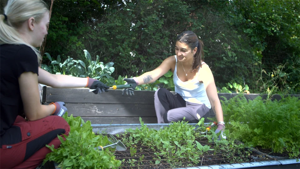 Bild från film om stadsodling