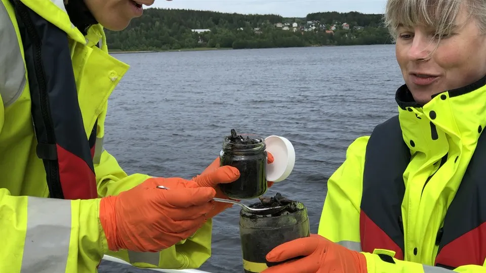 Upptagning av prov från fiberbank i Essvik