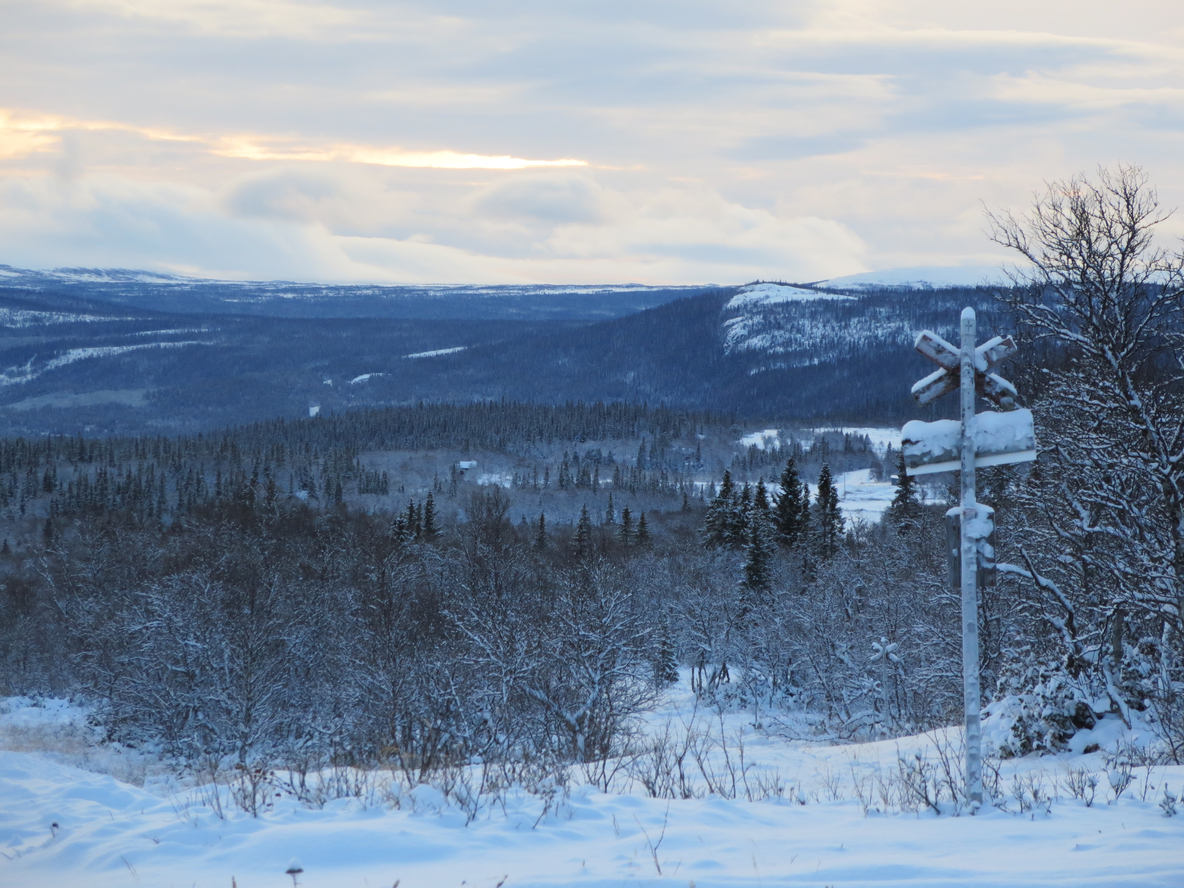 Vinterfjäll.