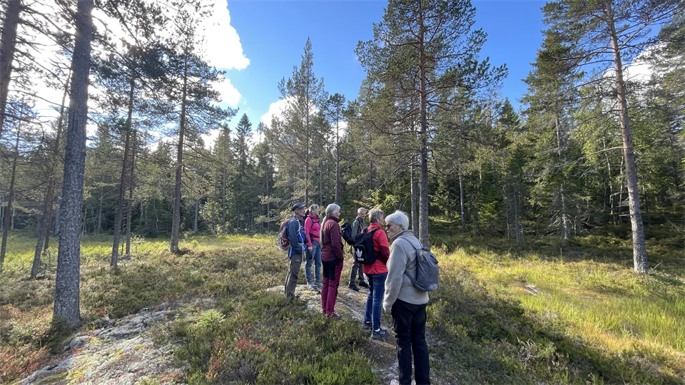 Tillgängliga naturmiljöer