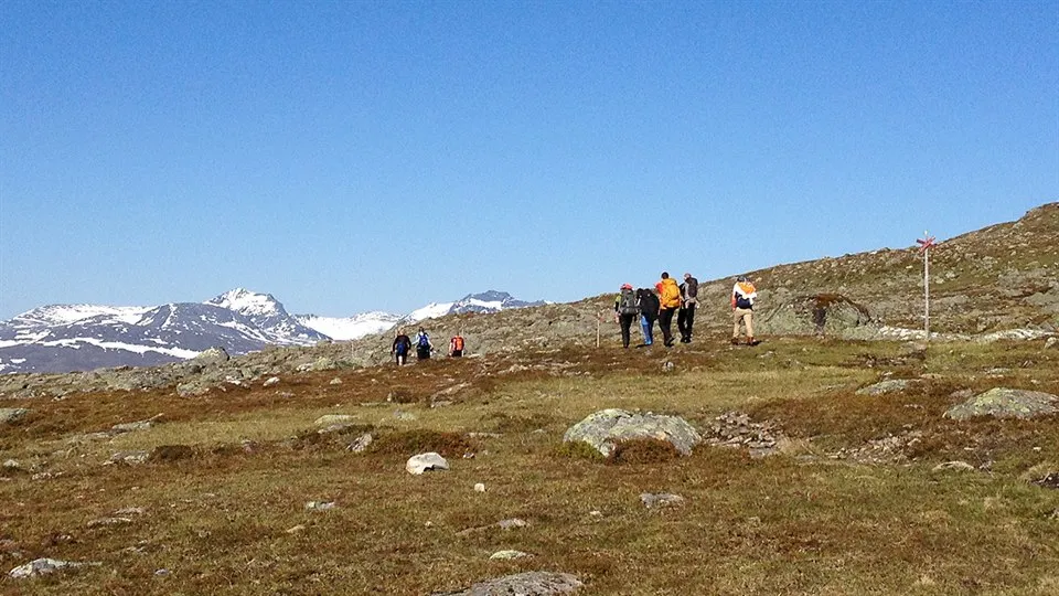 Vandrare på en led i fjällen