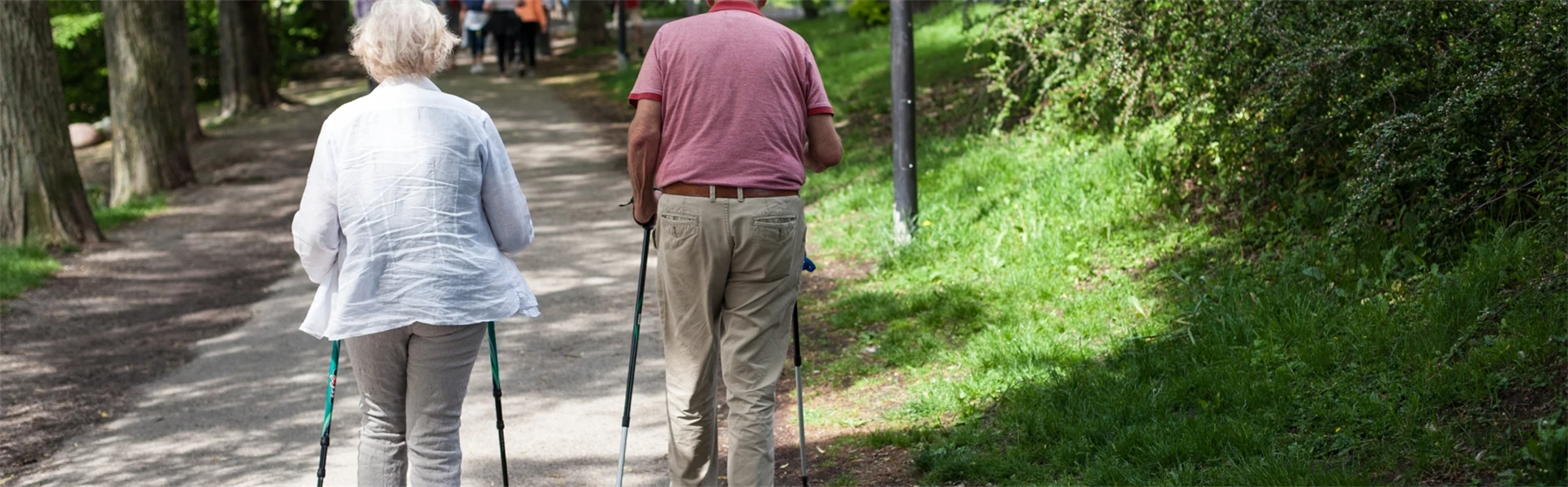Elderly couple go Nordic walking in a park setting.