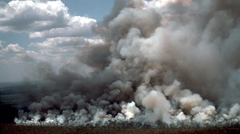 Vy över en skogsbrand