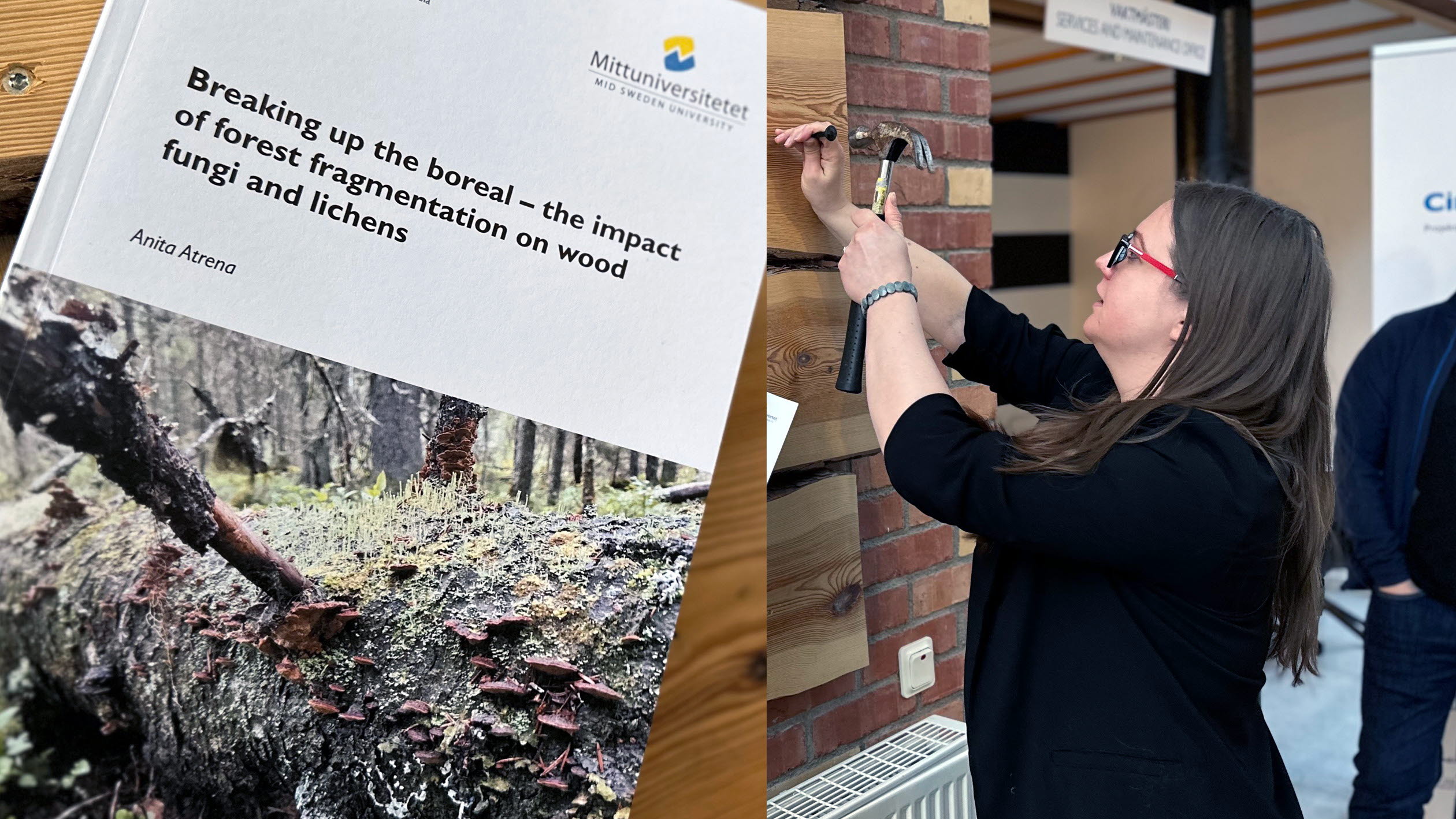 collage av en bok och en kvinna som spikar i en spik