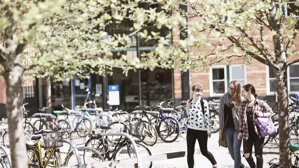 Studenter, Sundsvall, utomhus