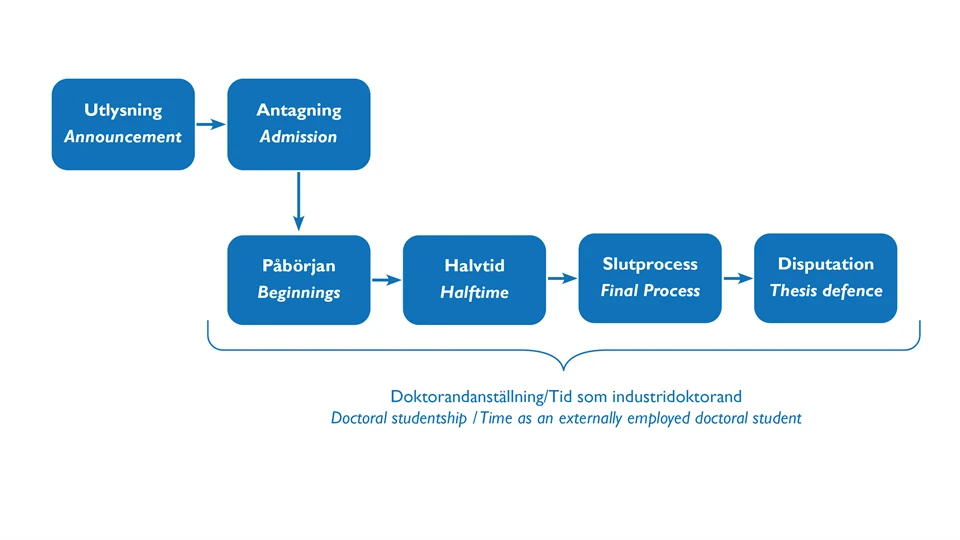 Illustration of the steps in the doctoral student journey.