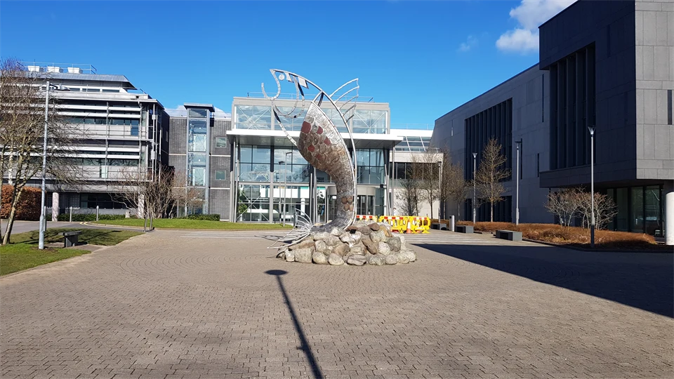 IT Sligo, Ireland