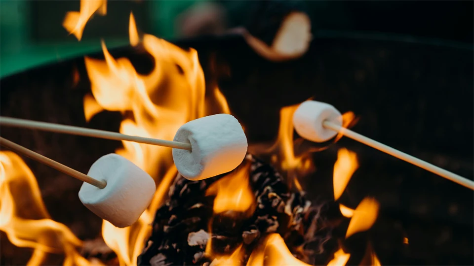 Lägereld med mashmallows som grillas i elden