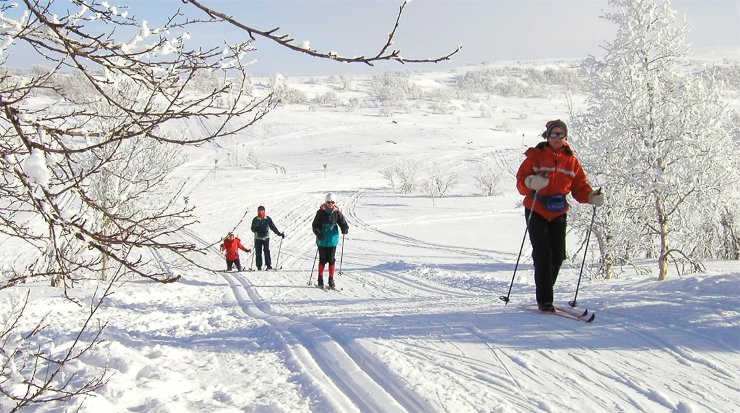 Turskidåkning i Härjedalen
