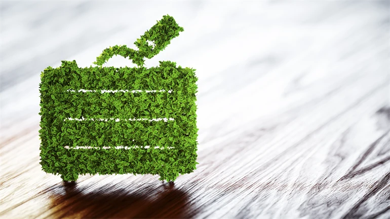Suitcase covered in greenery to symbolize sustainable tourism