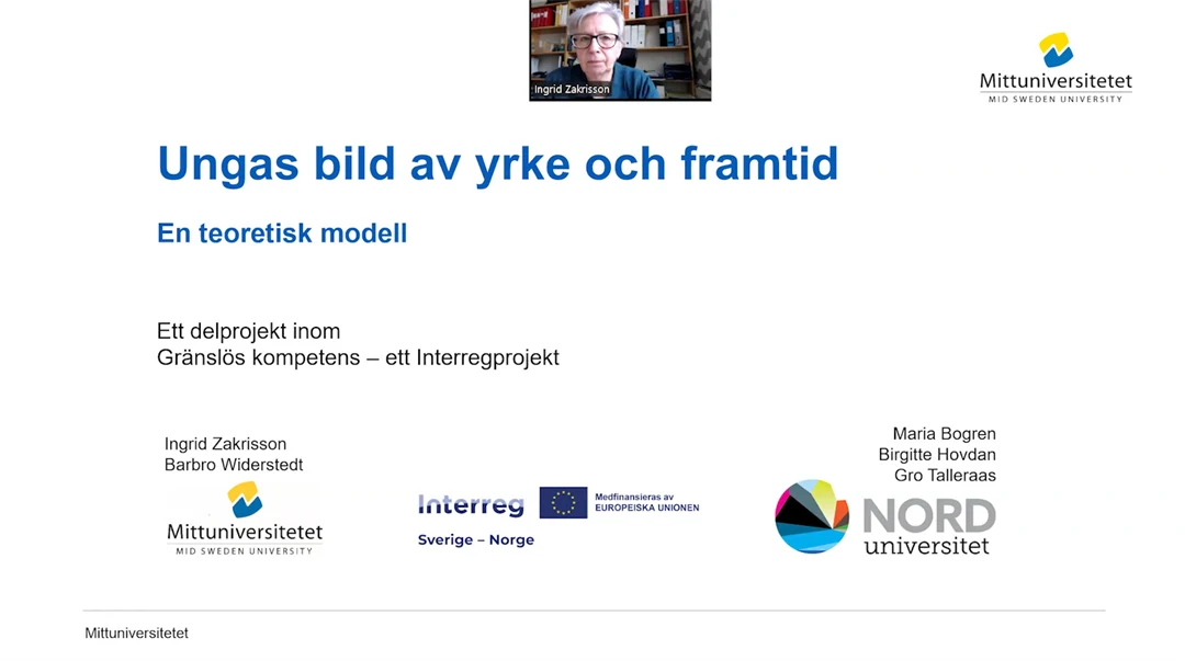 Försättsbild: Presentation om delstudie i projektet Gränslös kompetens