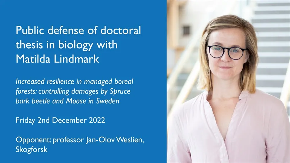 Matilda Lindmark public defence of doctoral thesis