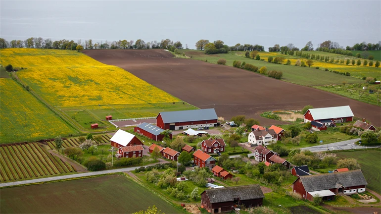 En samling med byggnader i landsbygd med åkrar runt om.