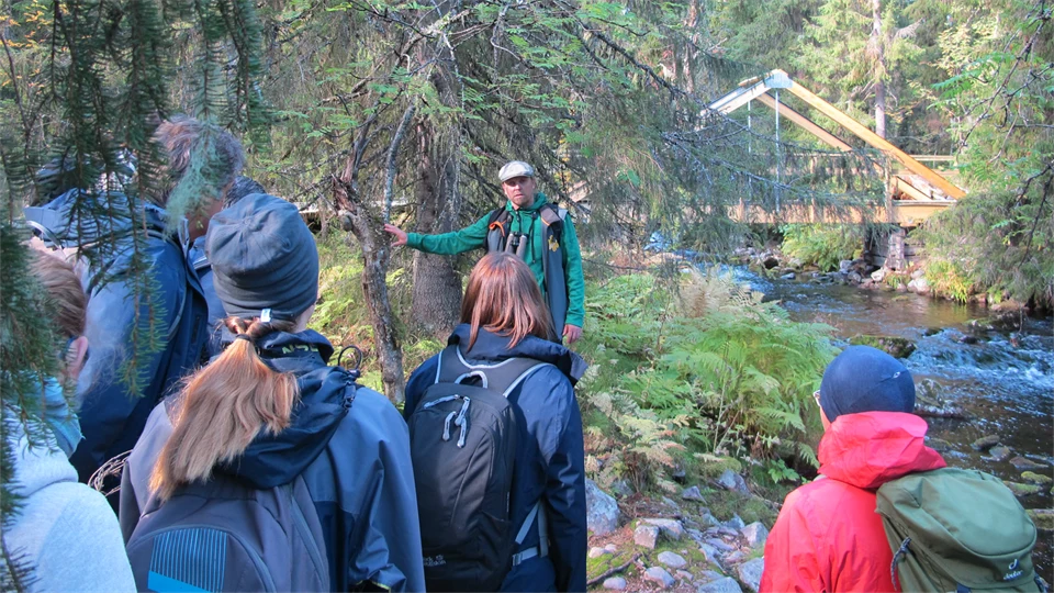 En grupp människor i friluftskläder står i skog och lyssnar på en man som pratar.